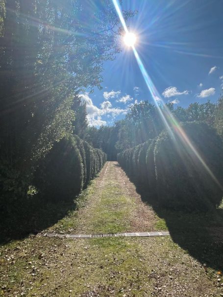 Taille de divers sujets Taille de divers sujets