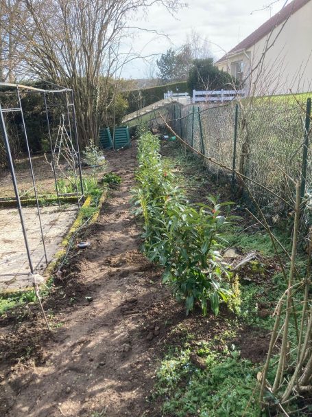 Plantation de haie Plantation de haie